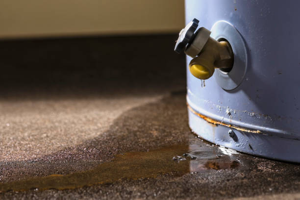Best Sewage cleanup and water damage restoration  in Siloam Springs, AR
