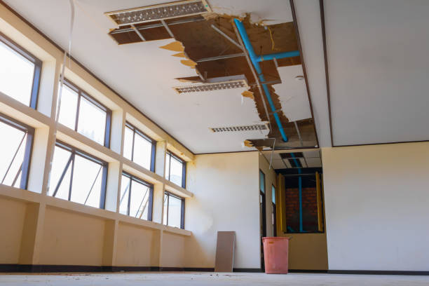 Best Flood damage cleanup  in Siloam Springs, AR