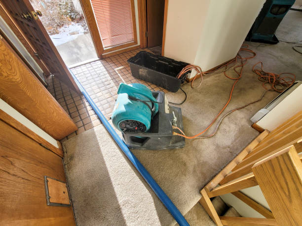 Best Fire Damage Restoration  in Siloam Springs, AR