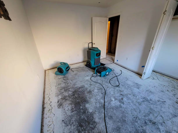 Best Basement water damage restoration  in Siloam Springs, AR