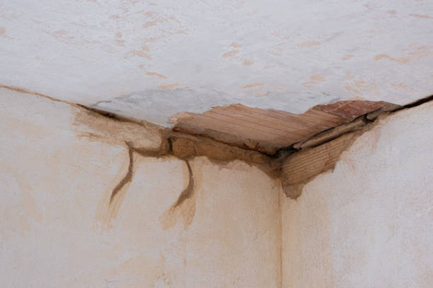 Best Water damage cleanup near me  in Siloam Springs, AR