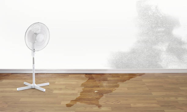 Best Emergency water damage restoration  in Siloam Springs, AR