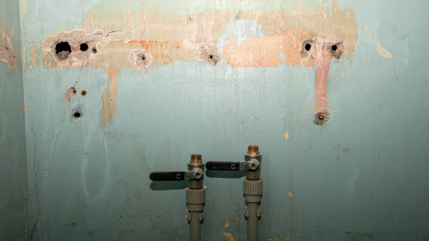 Siloam Springs, AR Water damage restoration Company