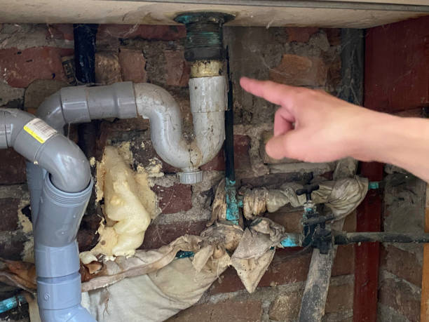 Best Water damage restoration near me  in Siloam Springs, AR