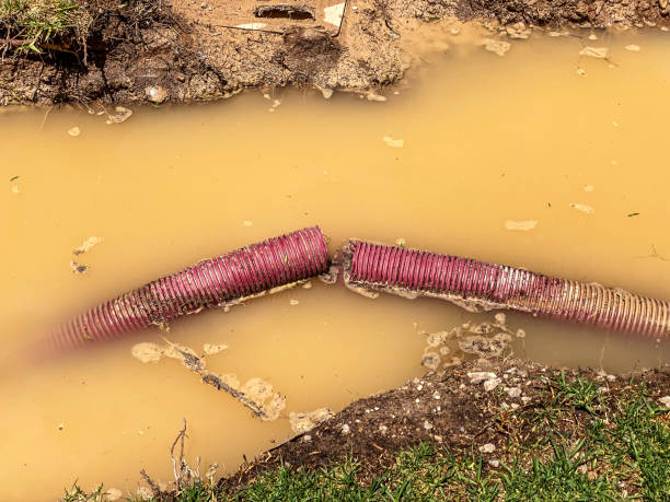Best 24-hour water damage restoration  in Siloam Springs, AR